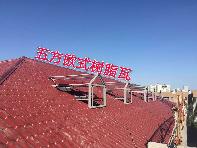 合成樹(shù)脂瓦案例